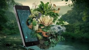 Apple законтрактовала 650 МВт «зелёной» энергии в Европе для нейтрализации углеродного следа iPhone