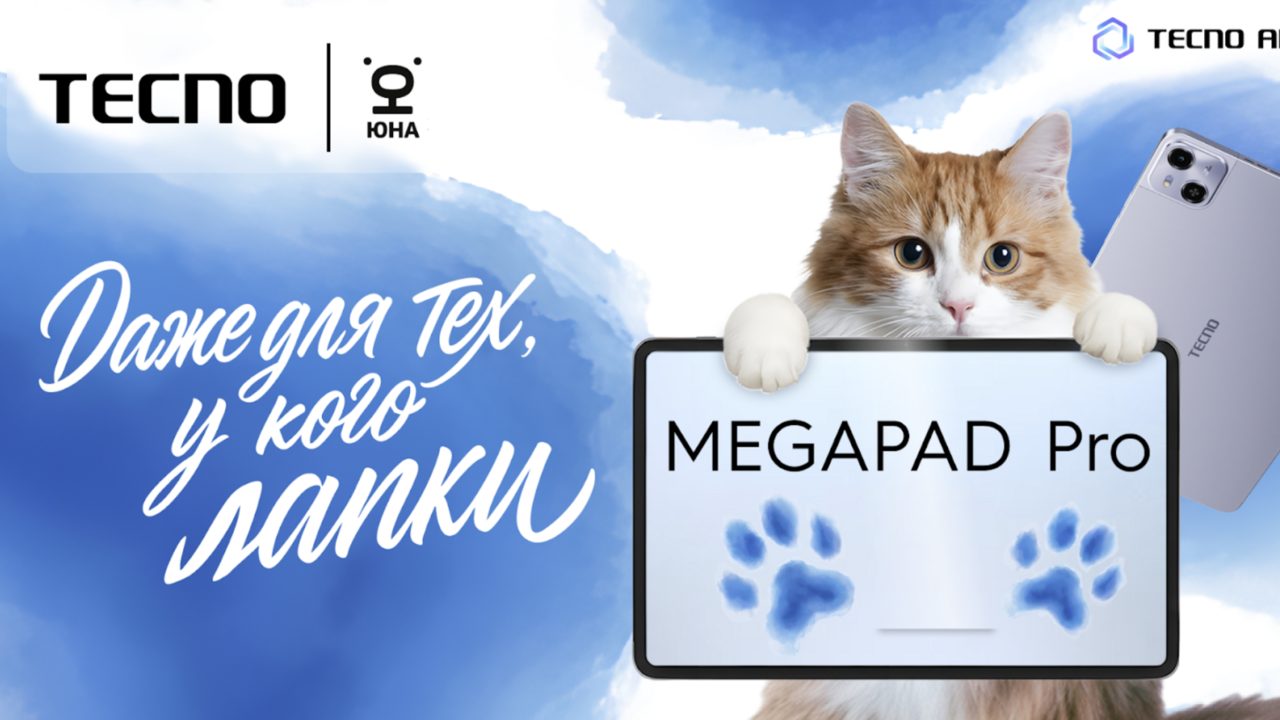 Tecno направит часть продаж планшета MegaPad Pro в России на помощь бездомным животным