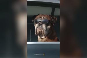 Samsung показала первые тизеры Galaxy S26: упор на зум и ночное видео