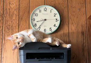 Microsoft убирает поддержку старых драйверов принтеров в Windows 11 с 2026 года