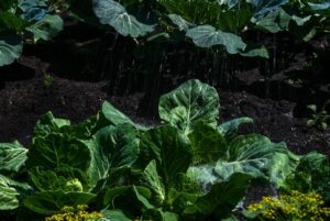 Как выбрать обогреватель для теплицы: эксперты объяснили ключевые нюансы